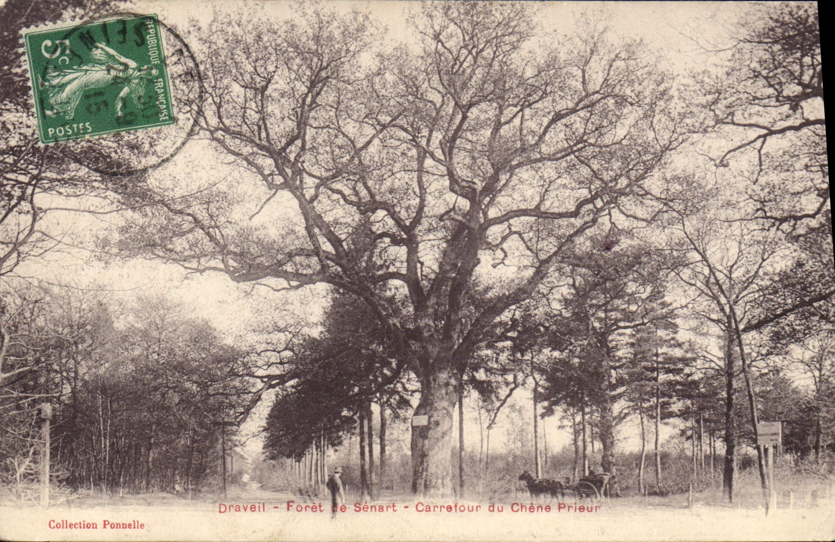 CPA Arbre Draveil Foret de Senart Carrefour du Chene prieur