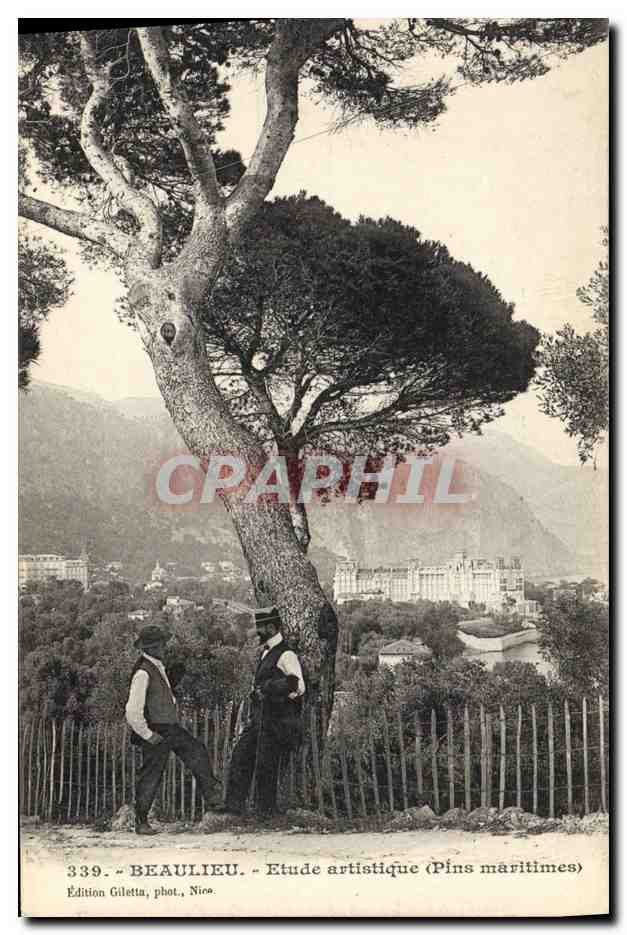 CPA Arbre Beaulieu Etude artistique pins maritimes