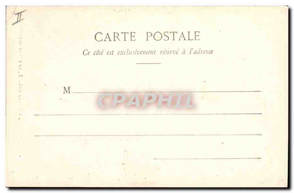 CPA Arbre Beaulieu Etude artistique pins maritimes — Verso