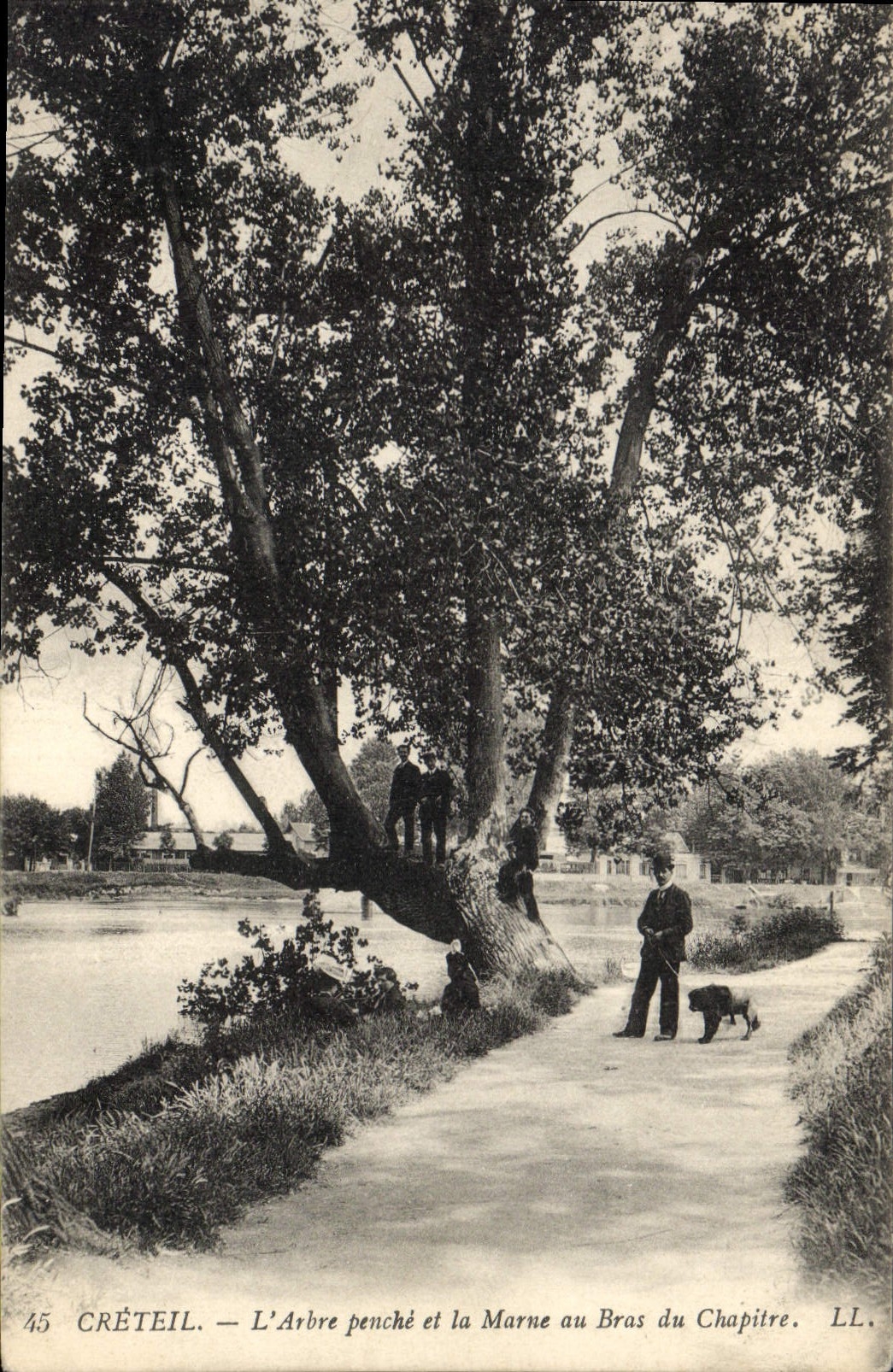 CPA Arbre Creteil l'arbre penche et la Marne au bras du Chapitre