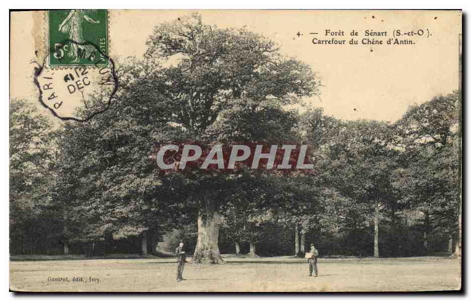 CPA Arbre Foret de Senart Carrefour du chene d'Antin