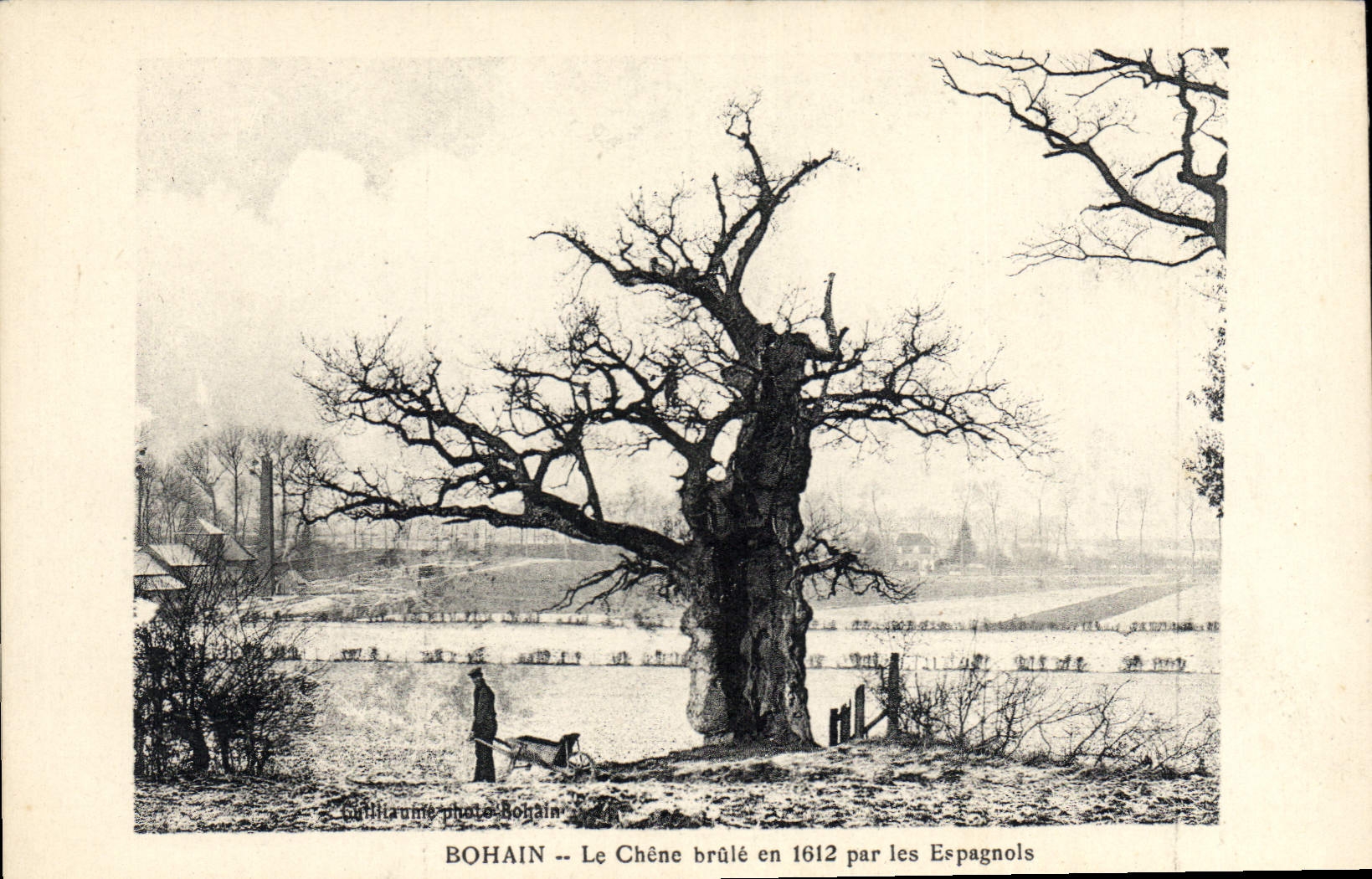 CPA Arbre Bohain Le chene brule en 1612 par les Espagnols