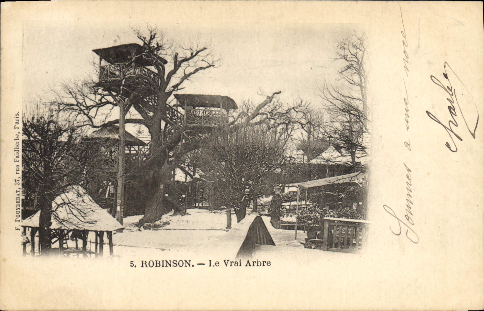 CPA Arbre Robinson Le vrai arbre 