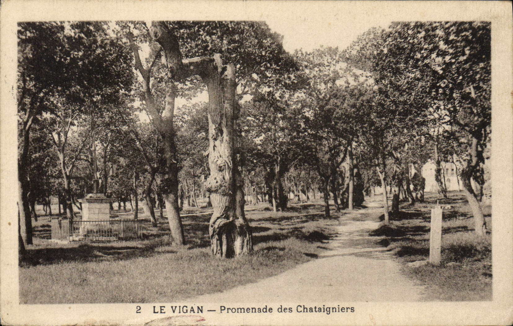 CPA Arbre Vigan Promenade des Chataigniers