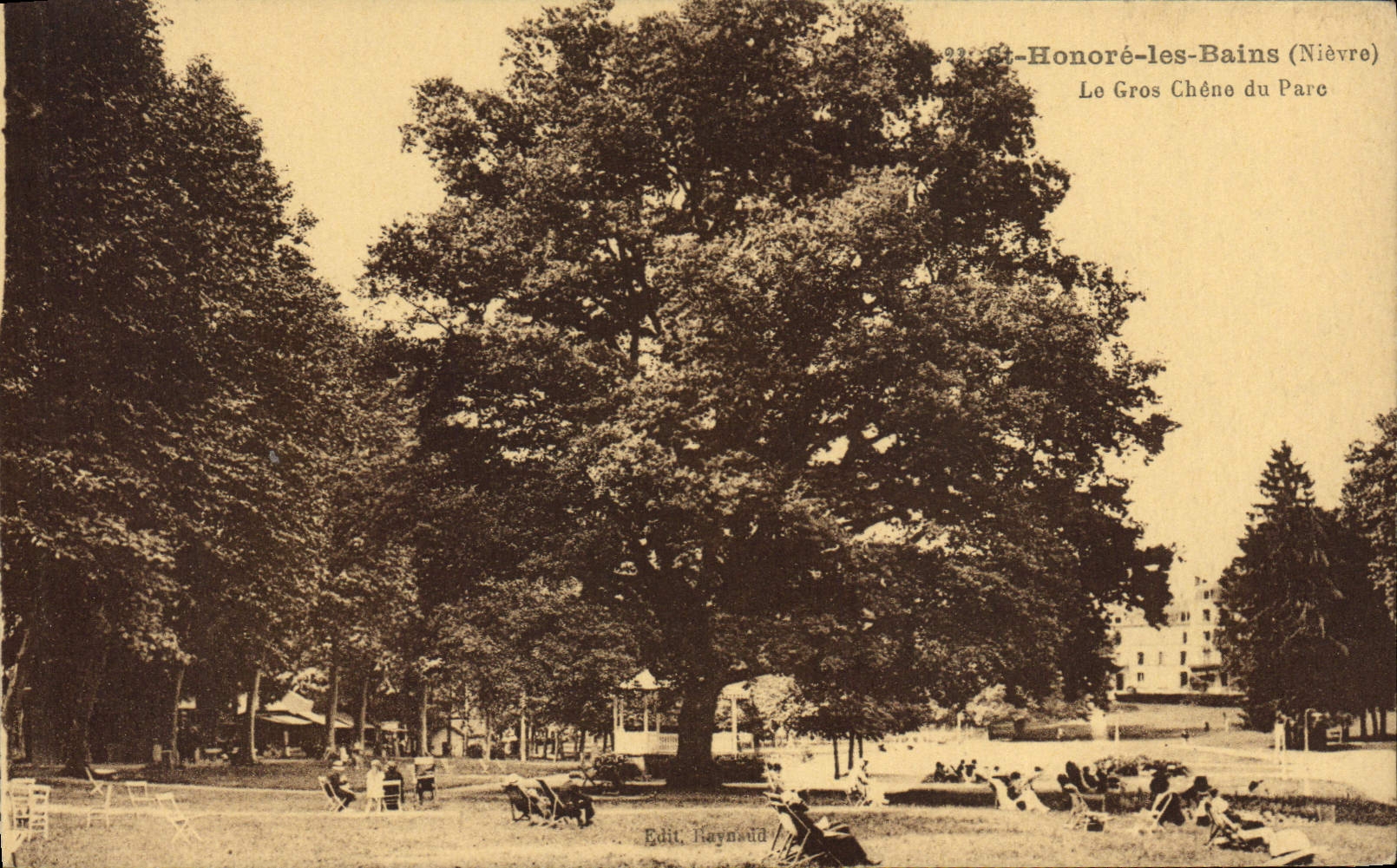 CPA Arbre St Honore les Bains Le gros chene du parc