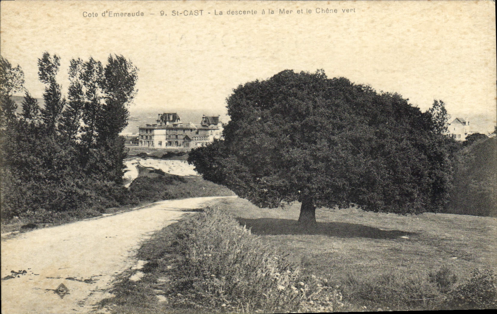 CPA Arbre St Cast La descente a la mer et le chene vert