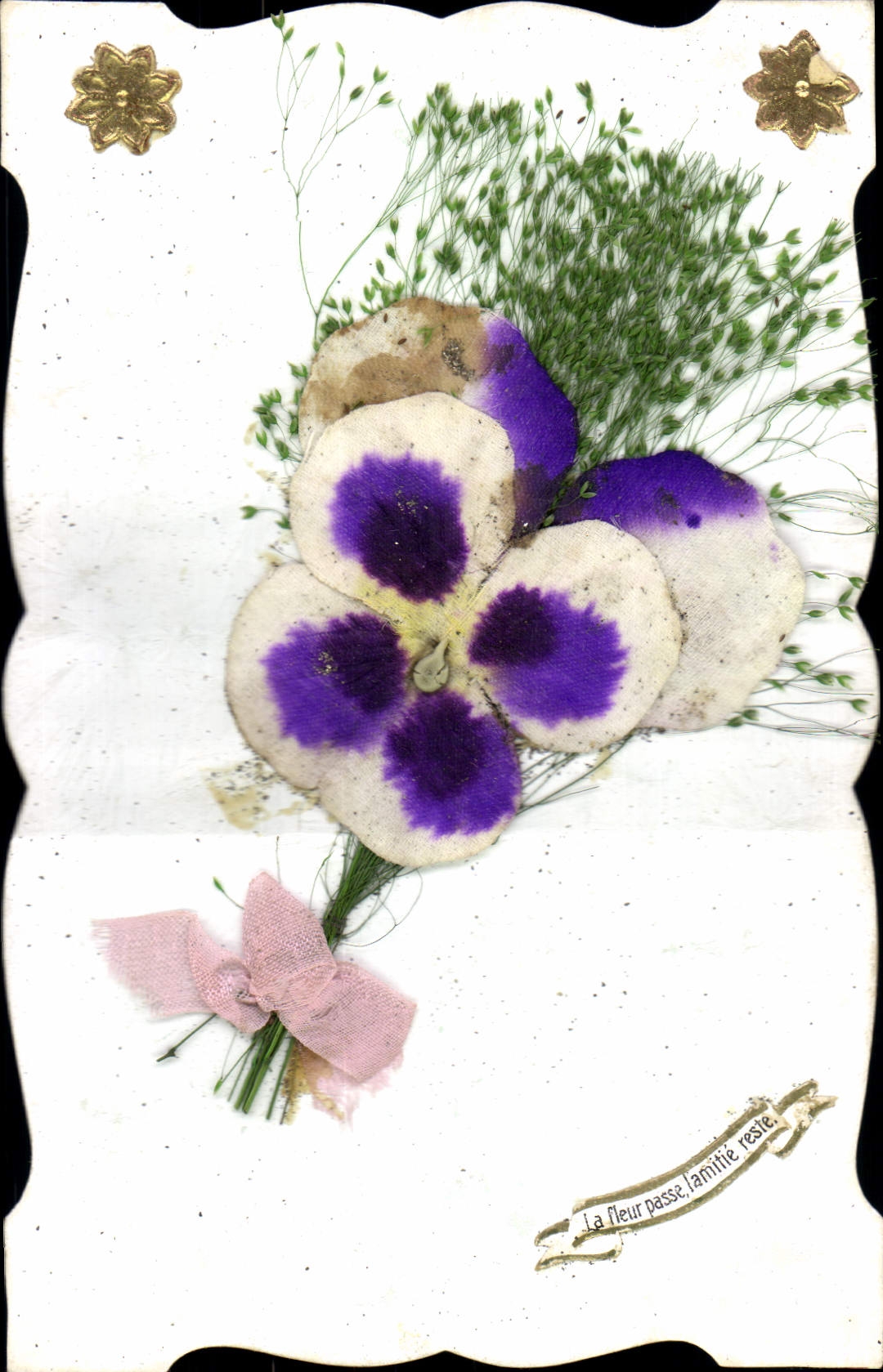 Bouquet de fleur séchée — texte imprimé et décoratif — éditeur inconnu