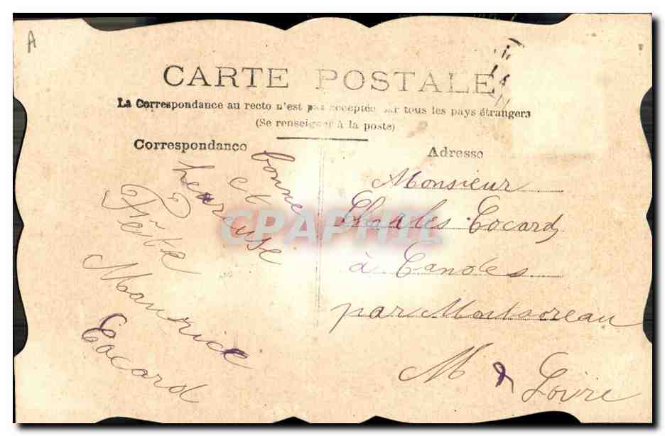 Bouquet de fleur séchée — texte imprimé et décoratif — éditeur inconnu — Reverso