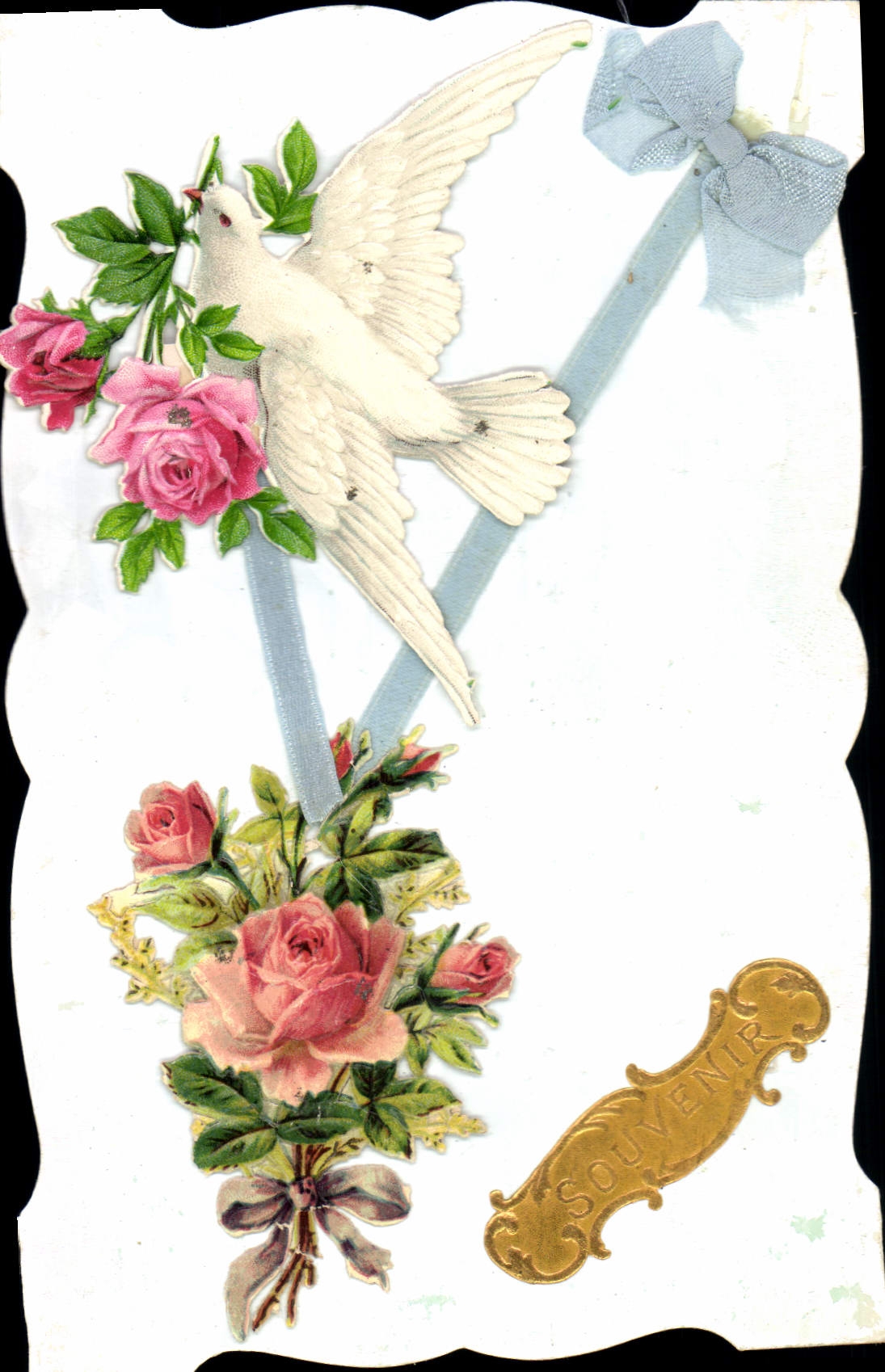 CPA Fantaisie Fleurs Colombe