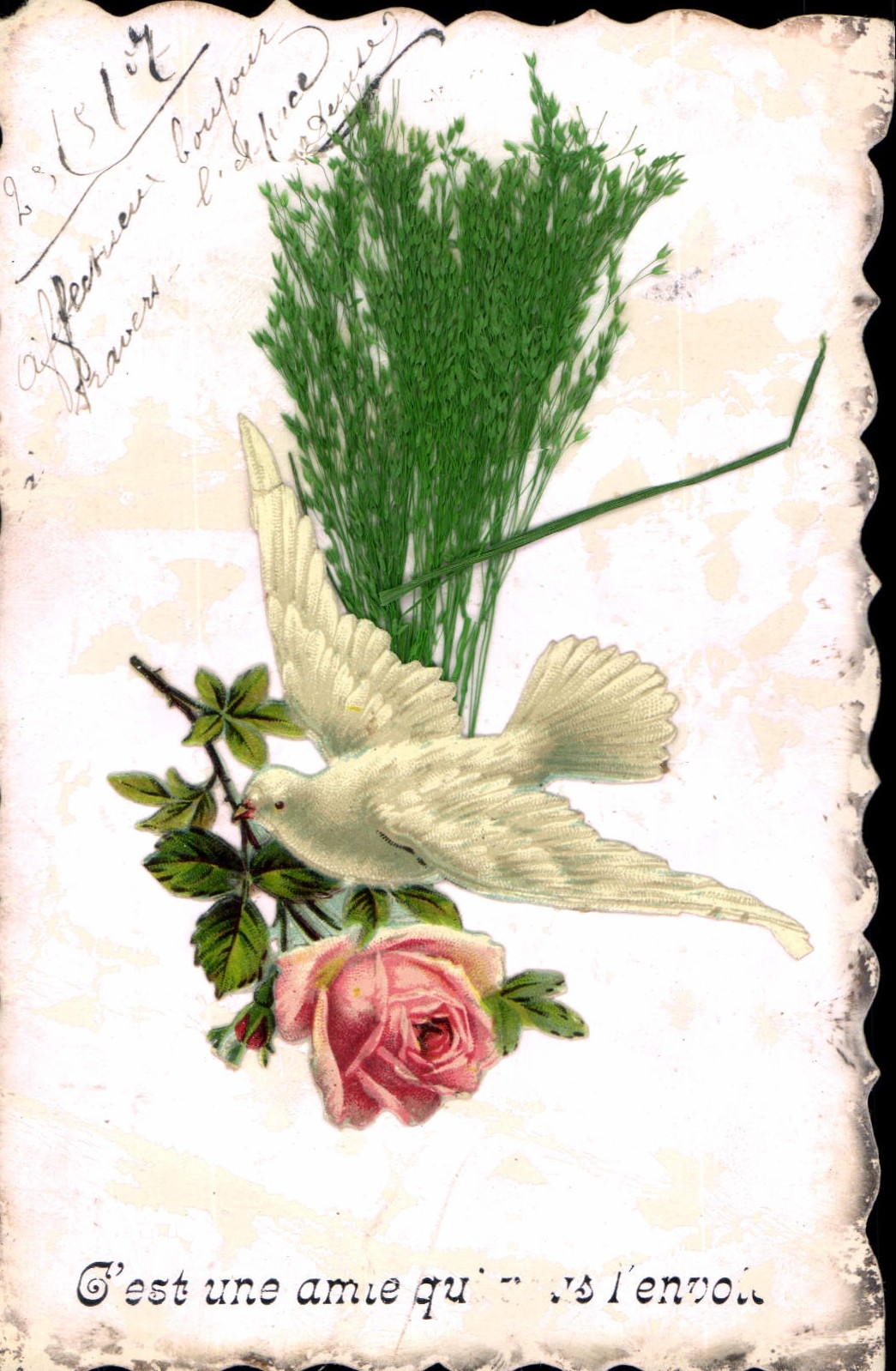 CPA Fantaisie Fleurs Colombe