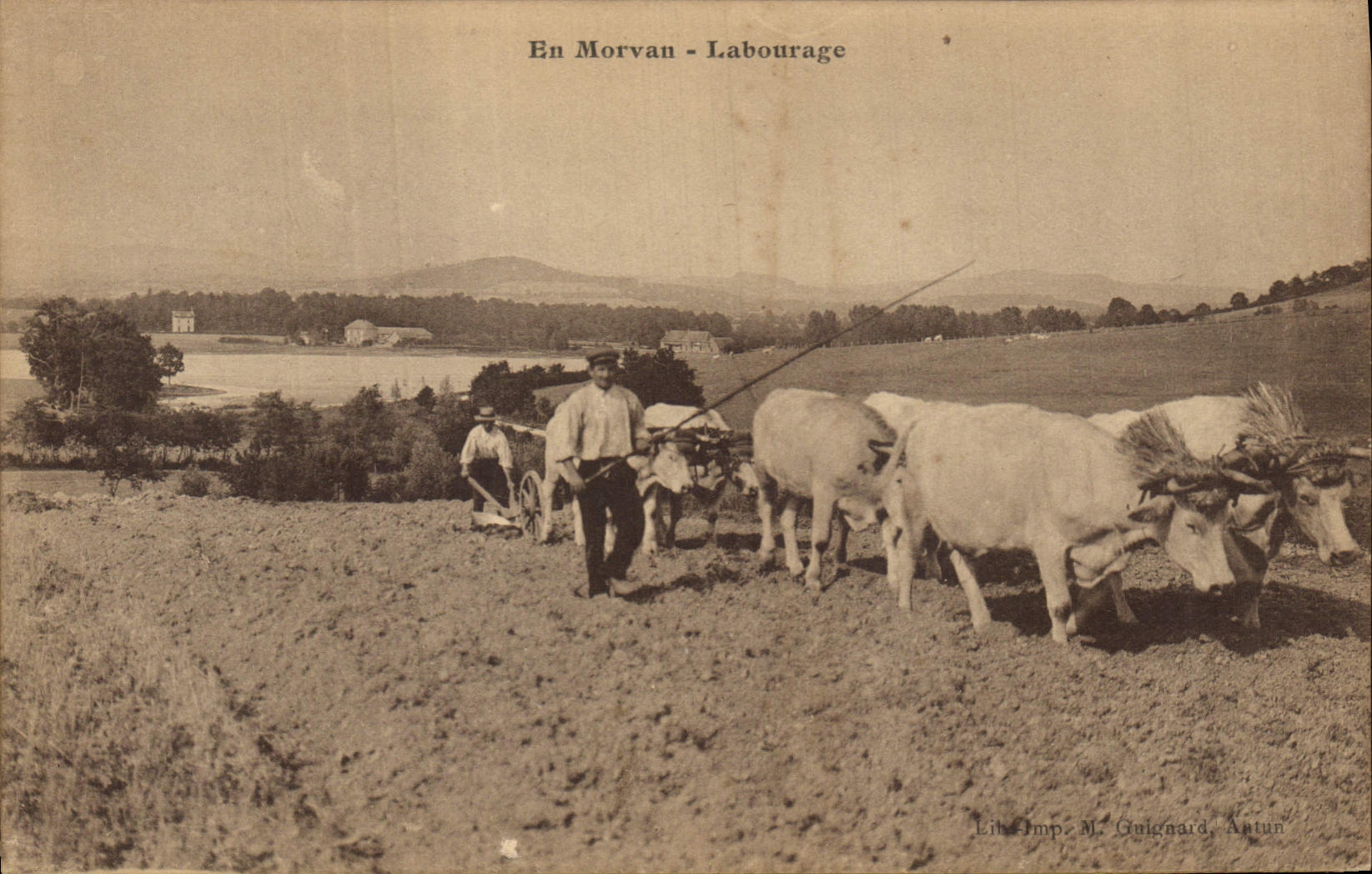 CPA Folklore En Morvan Labourage