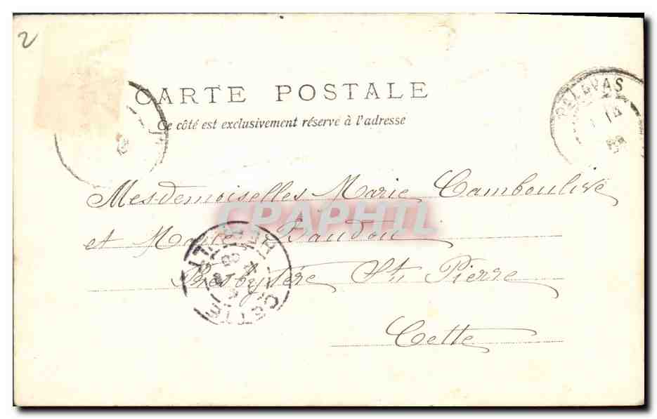 CPA Fantaisie Fleurs  — Verso