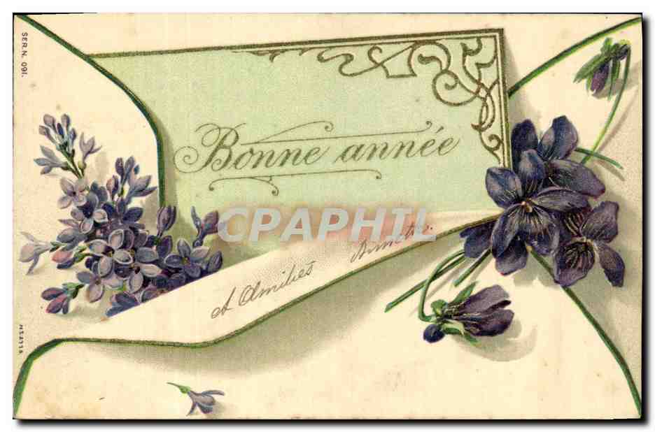 CPA Fantaisie Fleurs 