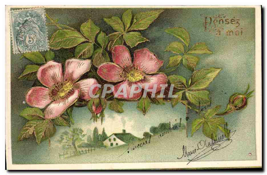 CPA Fantaisie Fleurs 