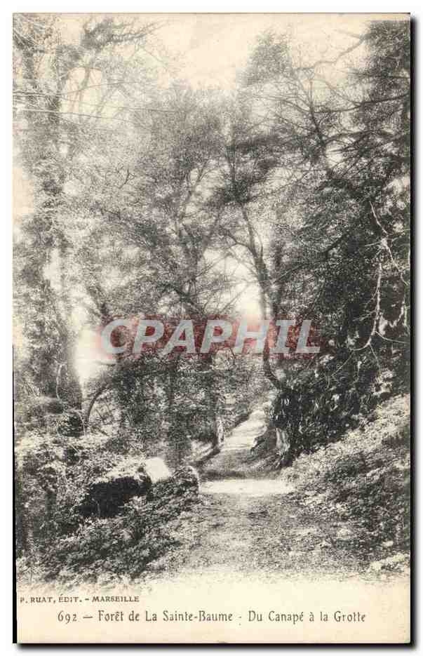CPA Arbre Foret de la Sainte Baume Du Canape a la grotte 
