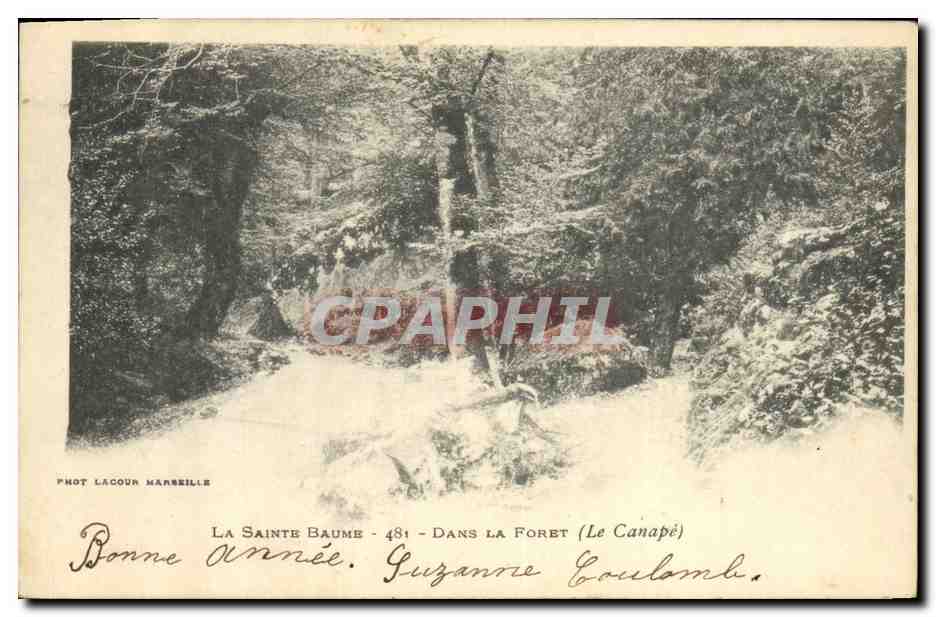 CPA Arbre La Sainte Baume Dans la foret Le canape 