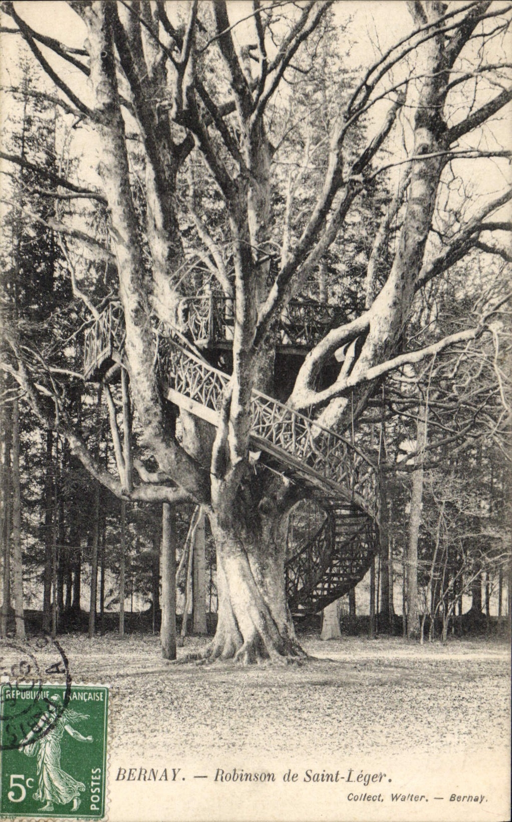 CPA Arbre Bernay Robinson de Saint Leger 
