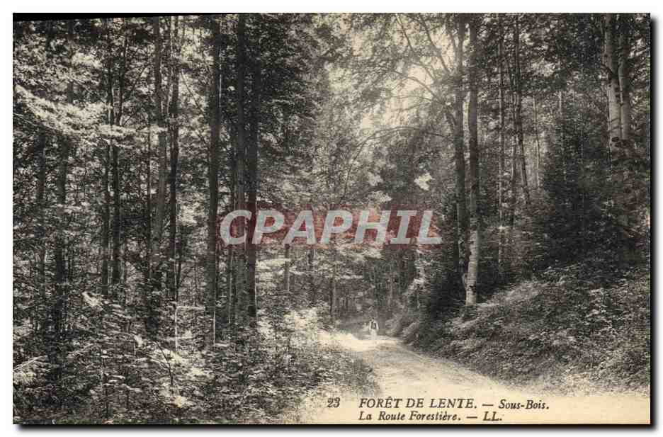 CPA Arbre Foret de Lente Sous bois La route forestiere 