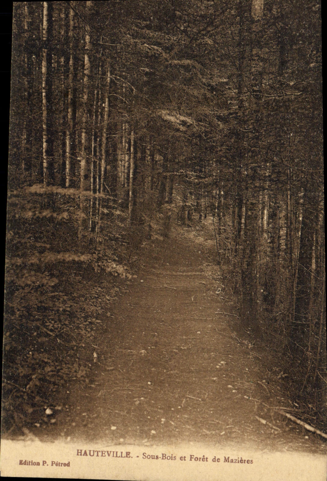 CPA Arbre Hauteville Sous bois et foret de Mazieres 