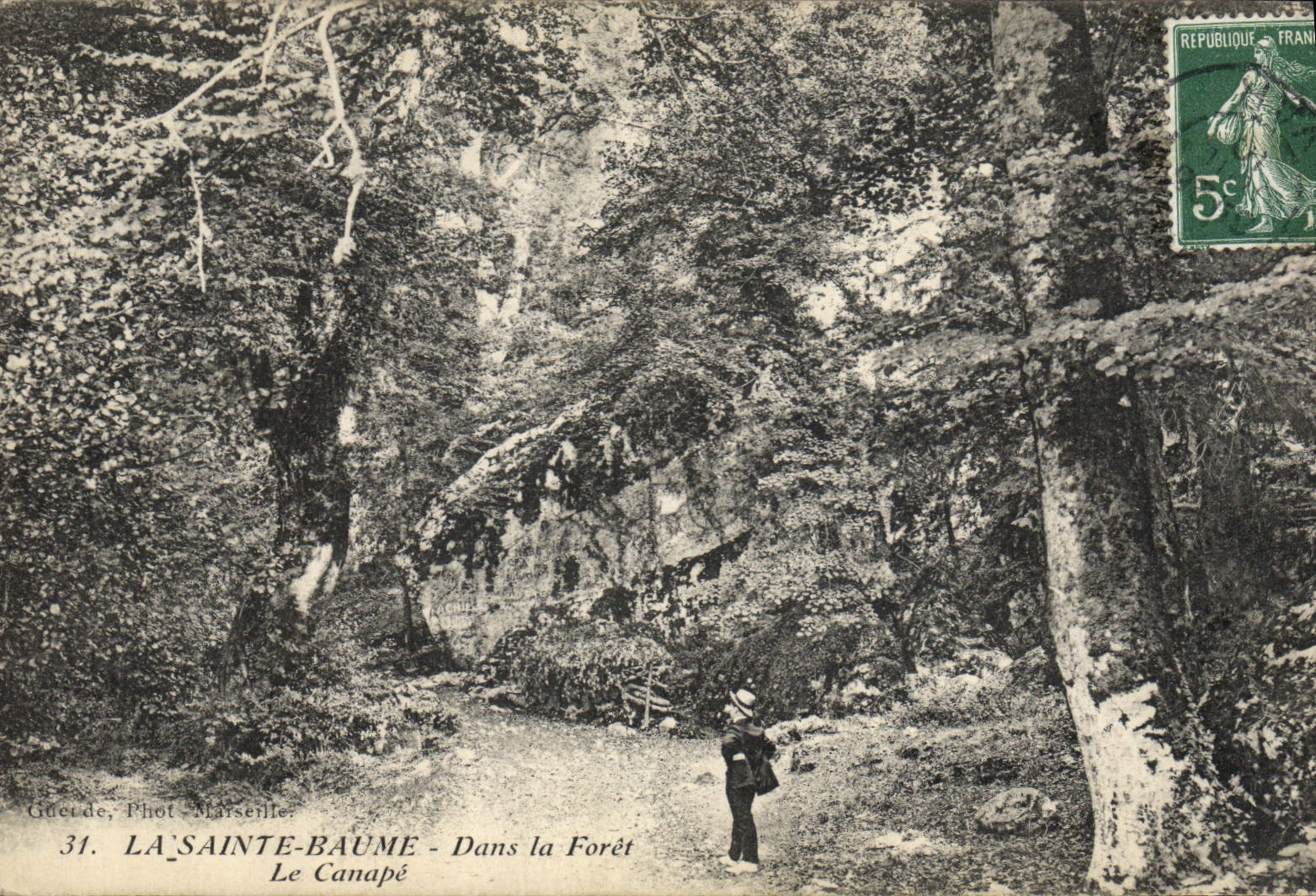 CPA Arbre La Sainte Baume Dans la foret Le canape 