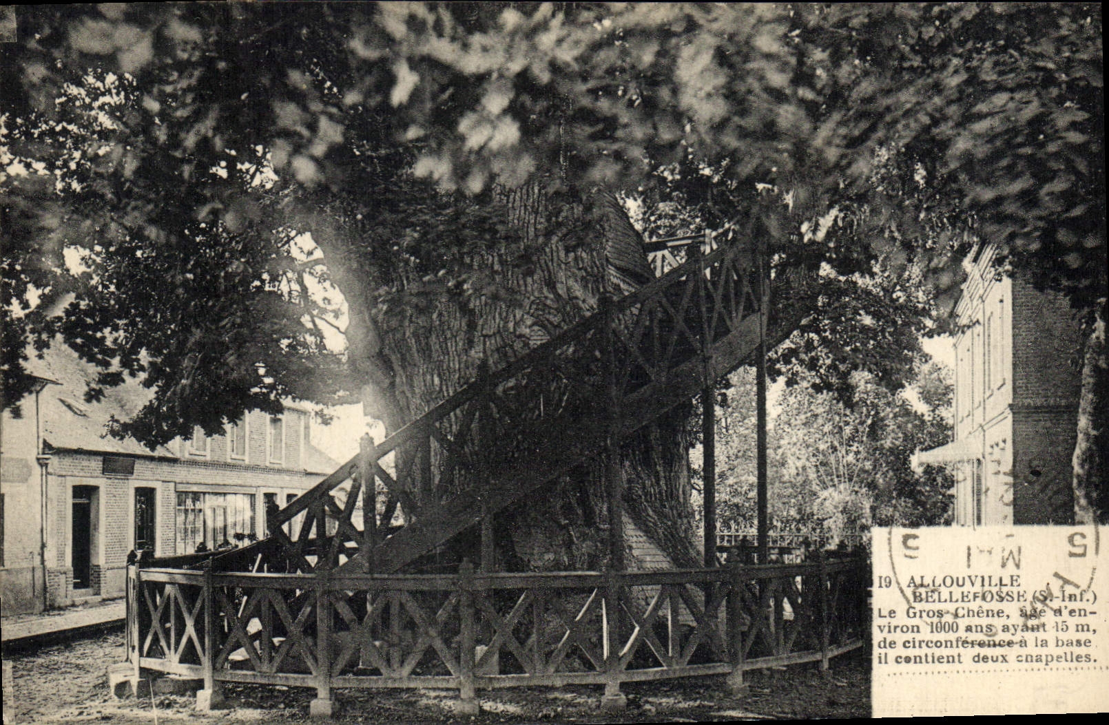 Allouville-Bellefosse — Le Gros-Chêne âgé d'environ 1000 ans, circonférence de 15 m, avec deux chapelles à sa base — E. Douillet, Caudébec-en-Caux