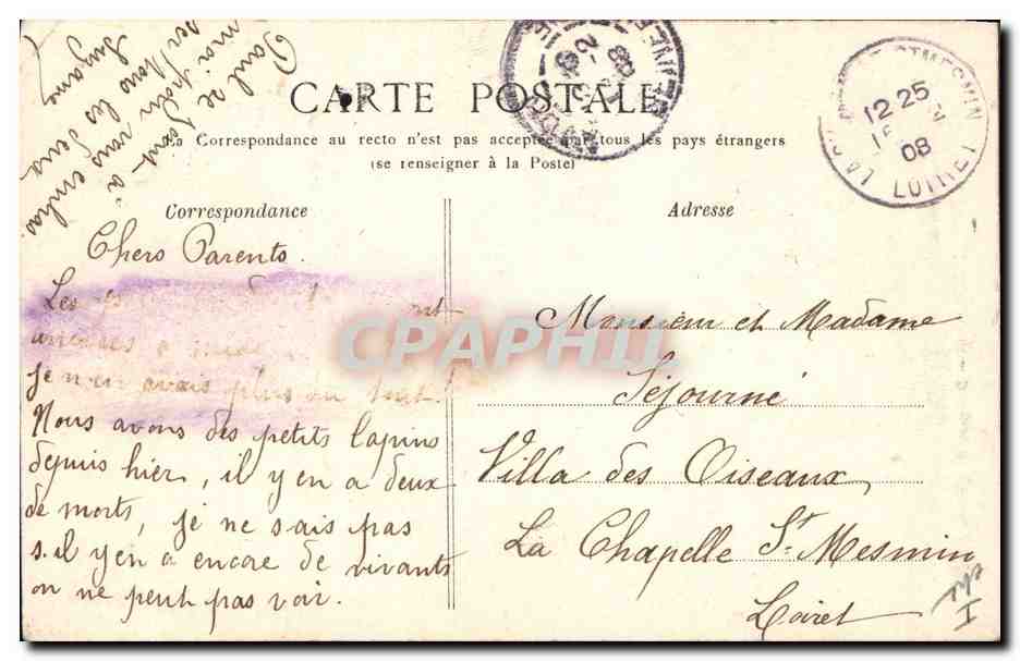 CPA Arbre Foret de Fontainebleau Bouquet du nid de l'aigle  — Verso