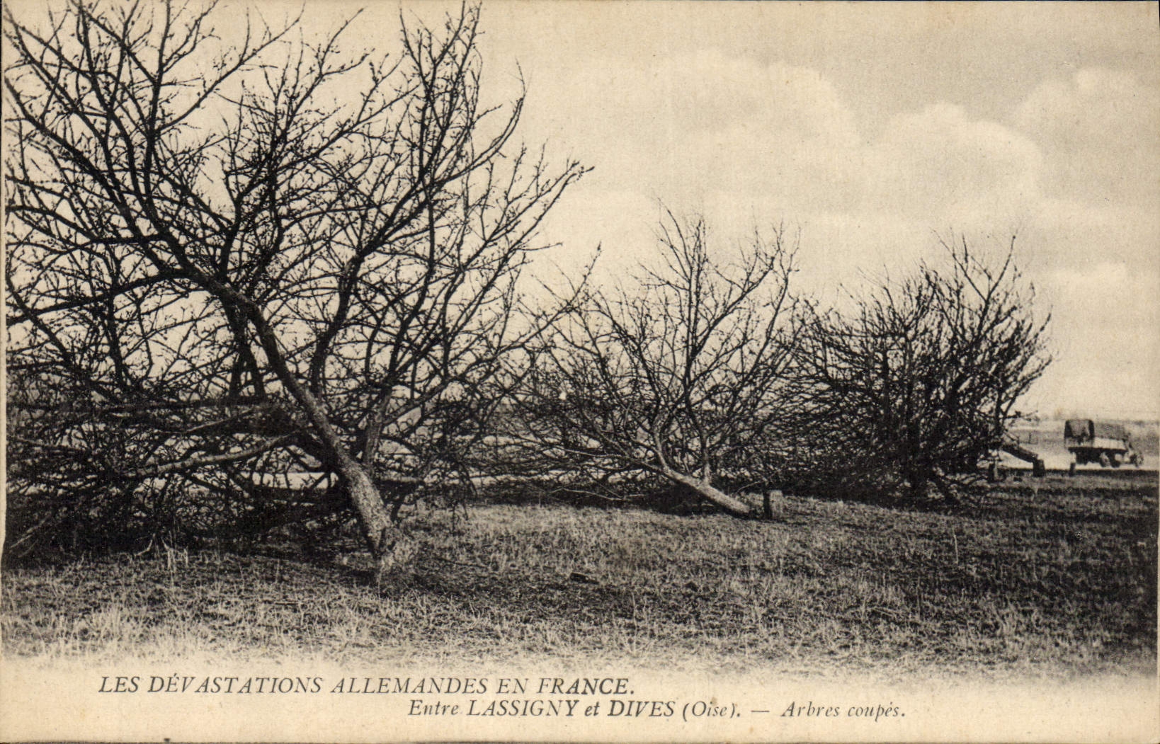 CPA Arbre Entre Lassigny et Dives Arbres coupes Militaria 