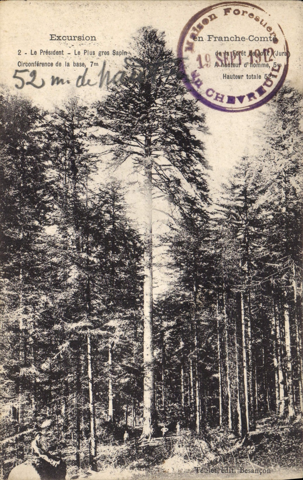 CPA Arbre France Comte Le President 