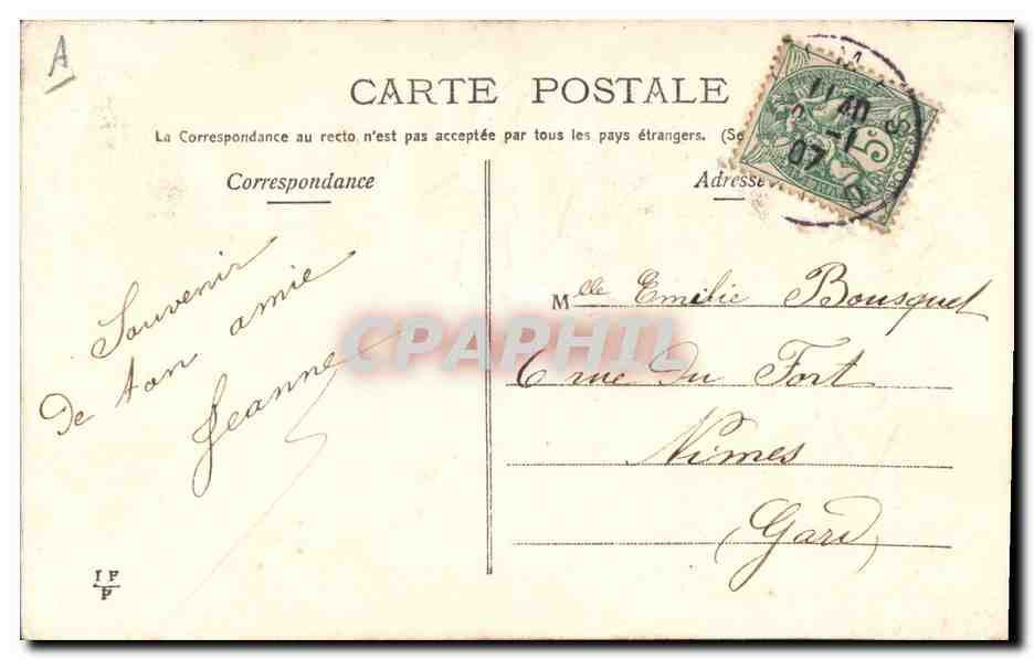 Flores rosas — tarjeta postal de felicitación — editor no visible — Reverso