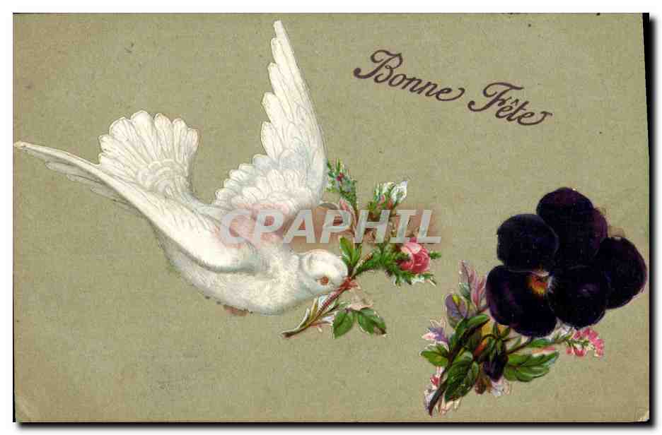 Colombe et fleurs — Bonne Fête — Carte postale