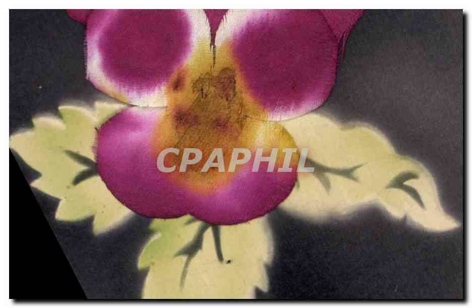 Flower — illustration — no publisher or number visible