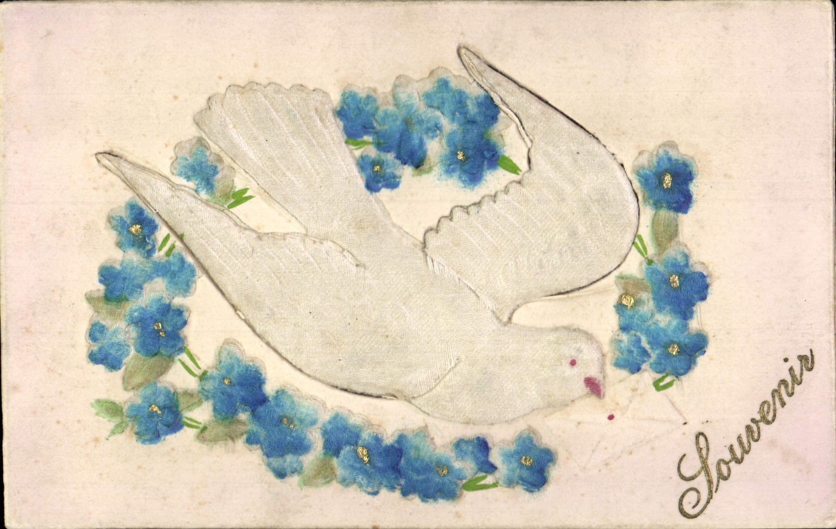 Colombe blanche entourée de fleurs bleues — Souvenir — Carte postale