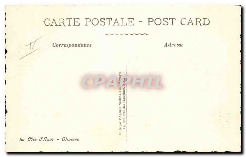 CPA Arbre La Cote d'Azur Oliviers — Rückseite
