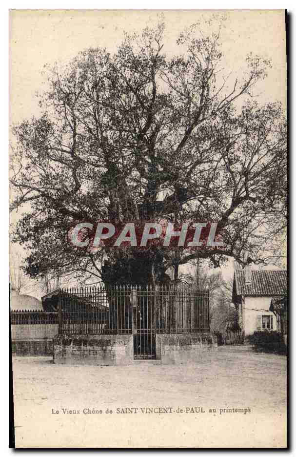 CPA Arbre Le vieux chene de Saint Vincent de Paul au printemps
