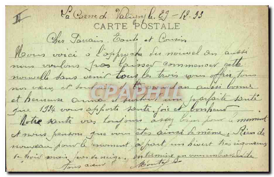 CPA Arbre Cerilly Foret de Troncais Les arbres geants Apollon — Verso