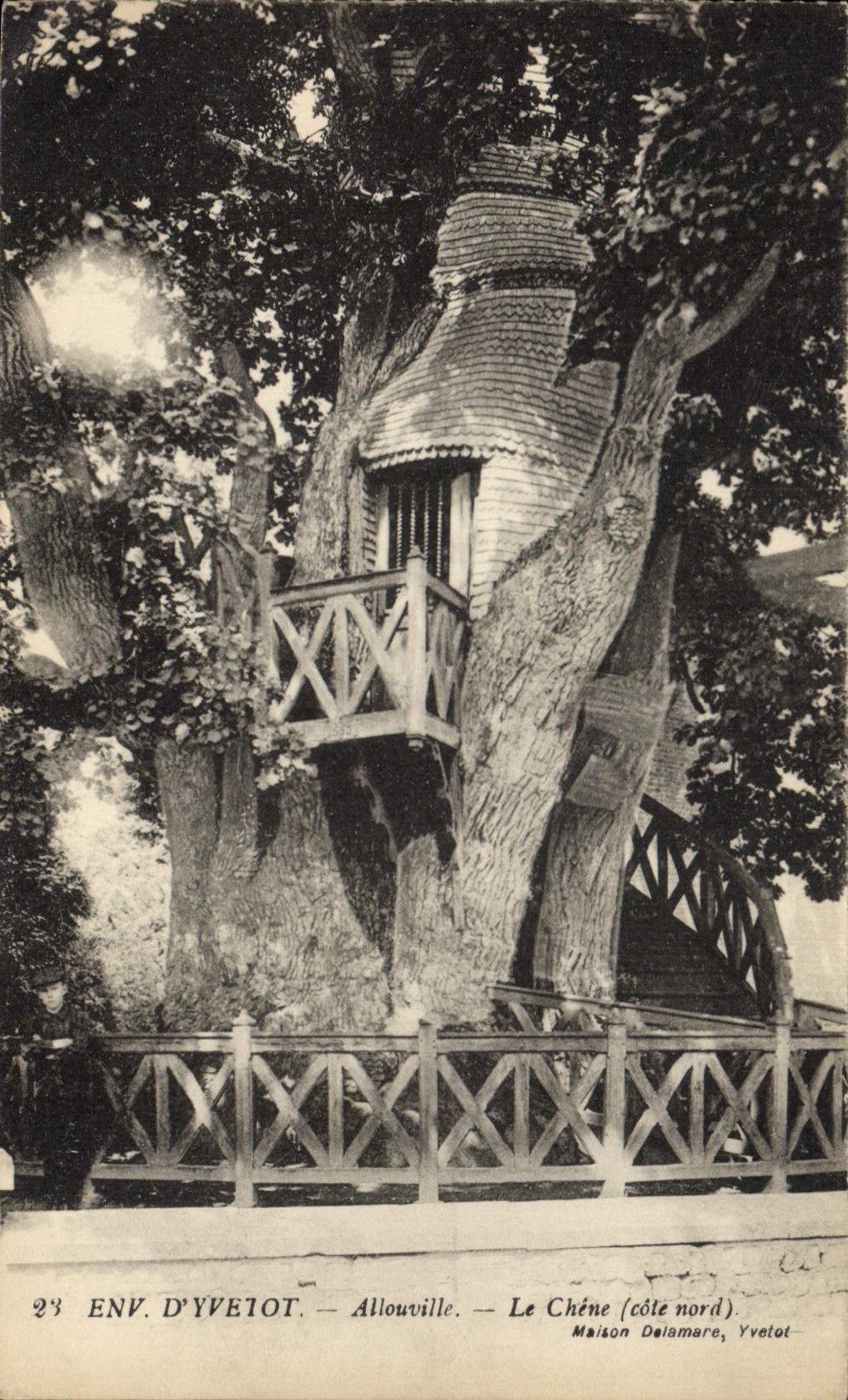 Allouville - Der Eiche (nördliche Seite) — Maison Delamare, Yvetot