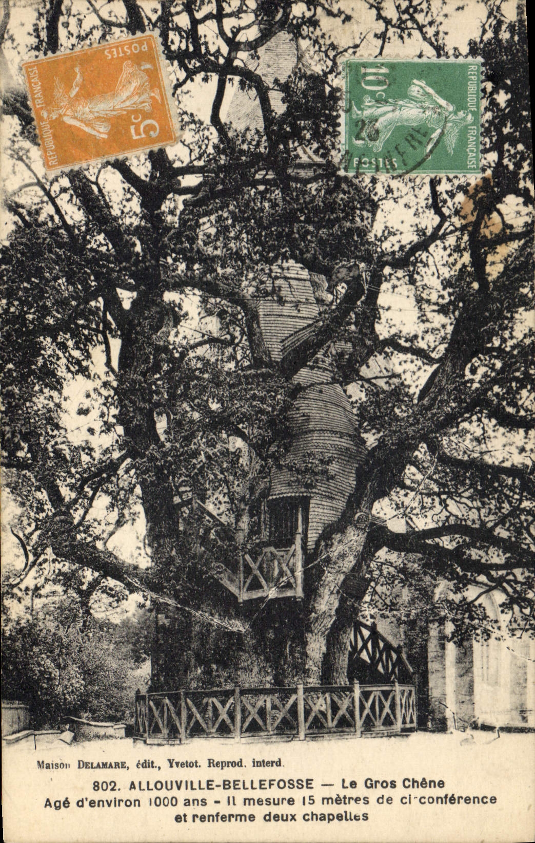 Al Louville-Bellefosse — El Gran Roble — Maison Delamare, ed. Yvetot. Reprod. prohib.