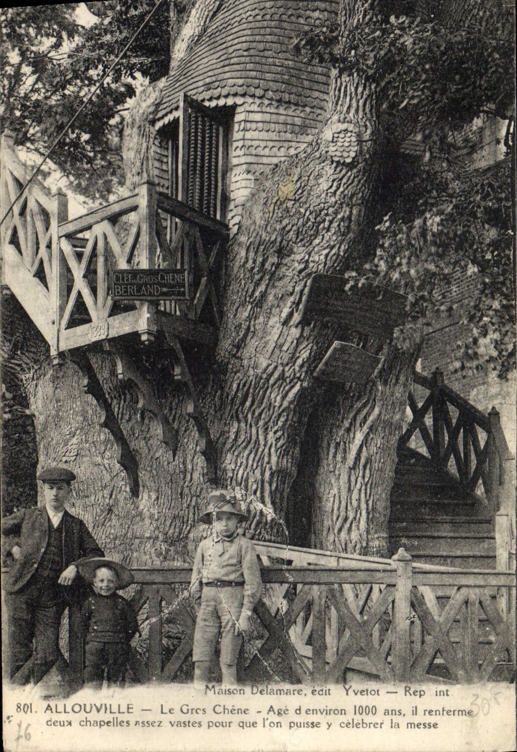 Al louville — Le Gros Chêne — Maison Delamare, édit Yvetot — Rep int
