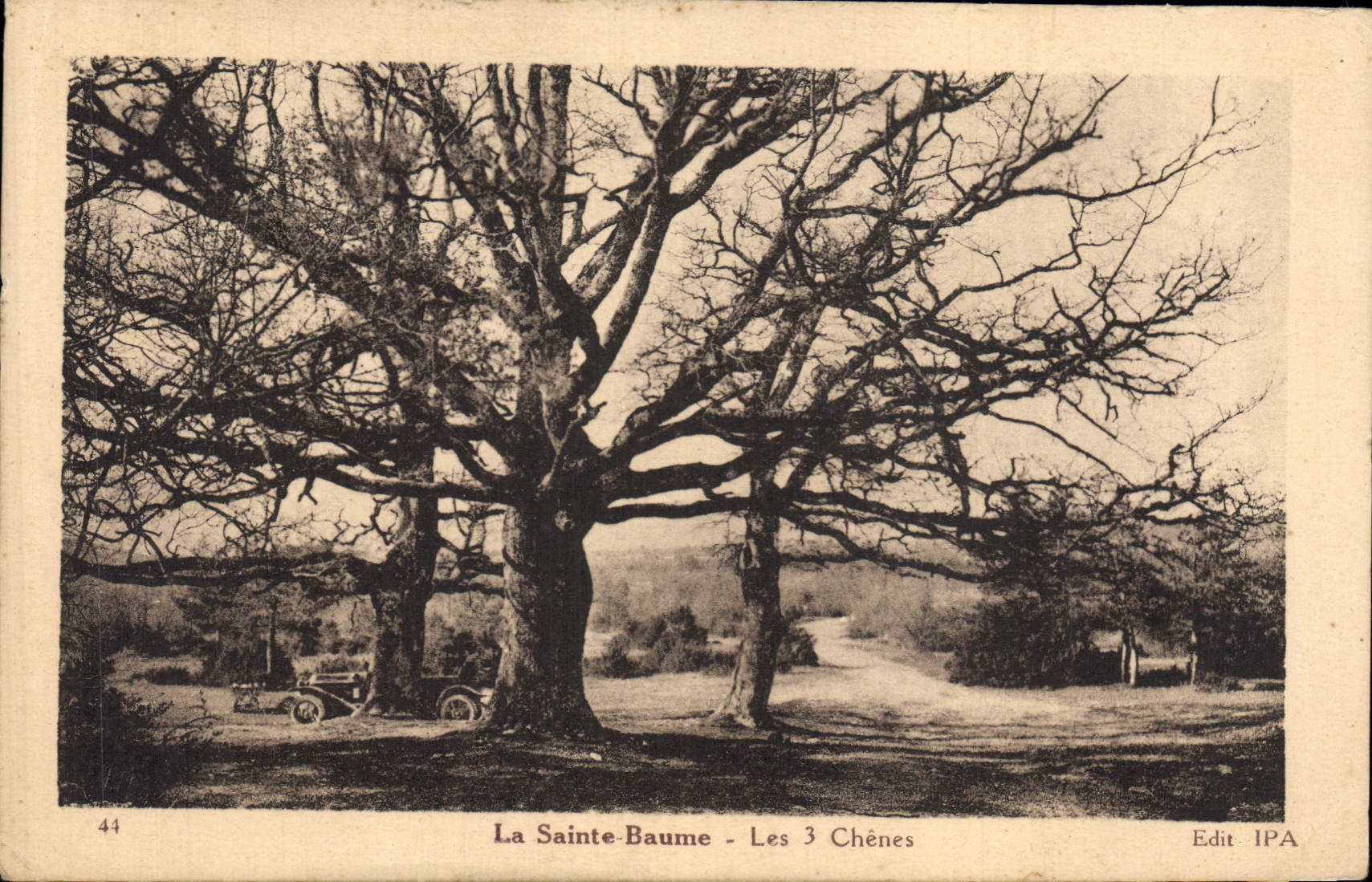 CPA Arbre La Sainte Baume Les 3 chenes