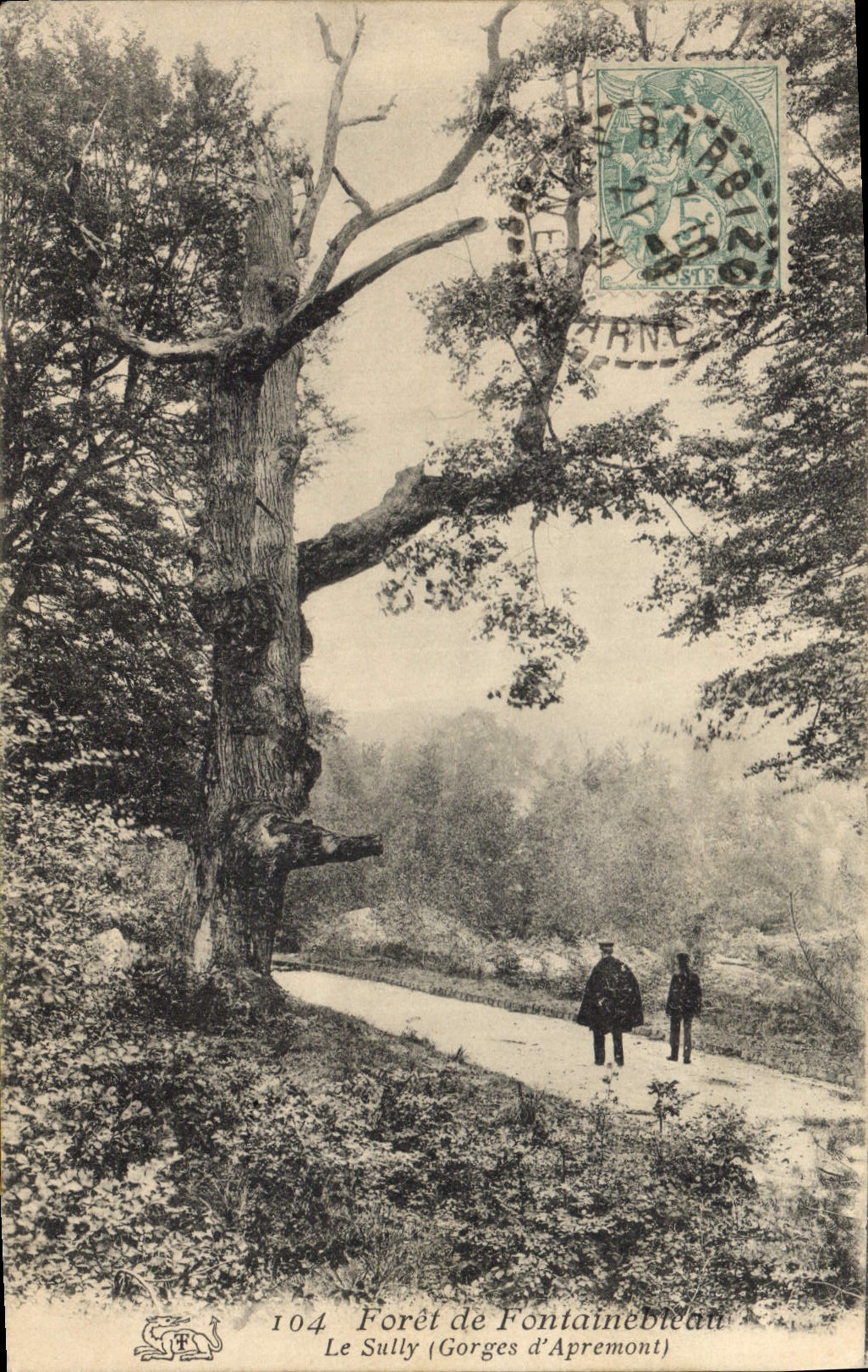 CPA Arbre Foret de Fontainebleau Le Sully Gorges d'Apremont 