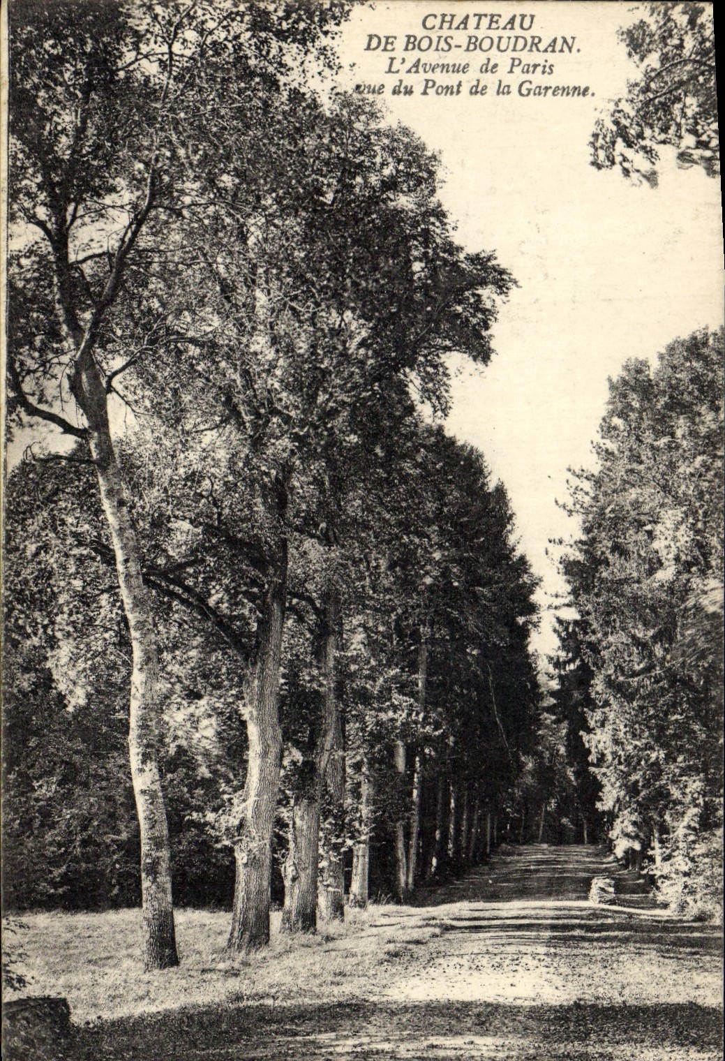CPA Arbre Chateau de Bois Bourdran L'avenue de Paris vue du Pont de la Garonne