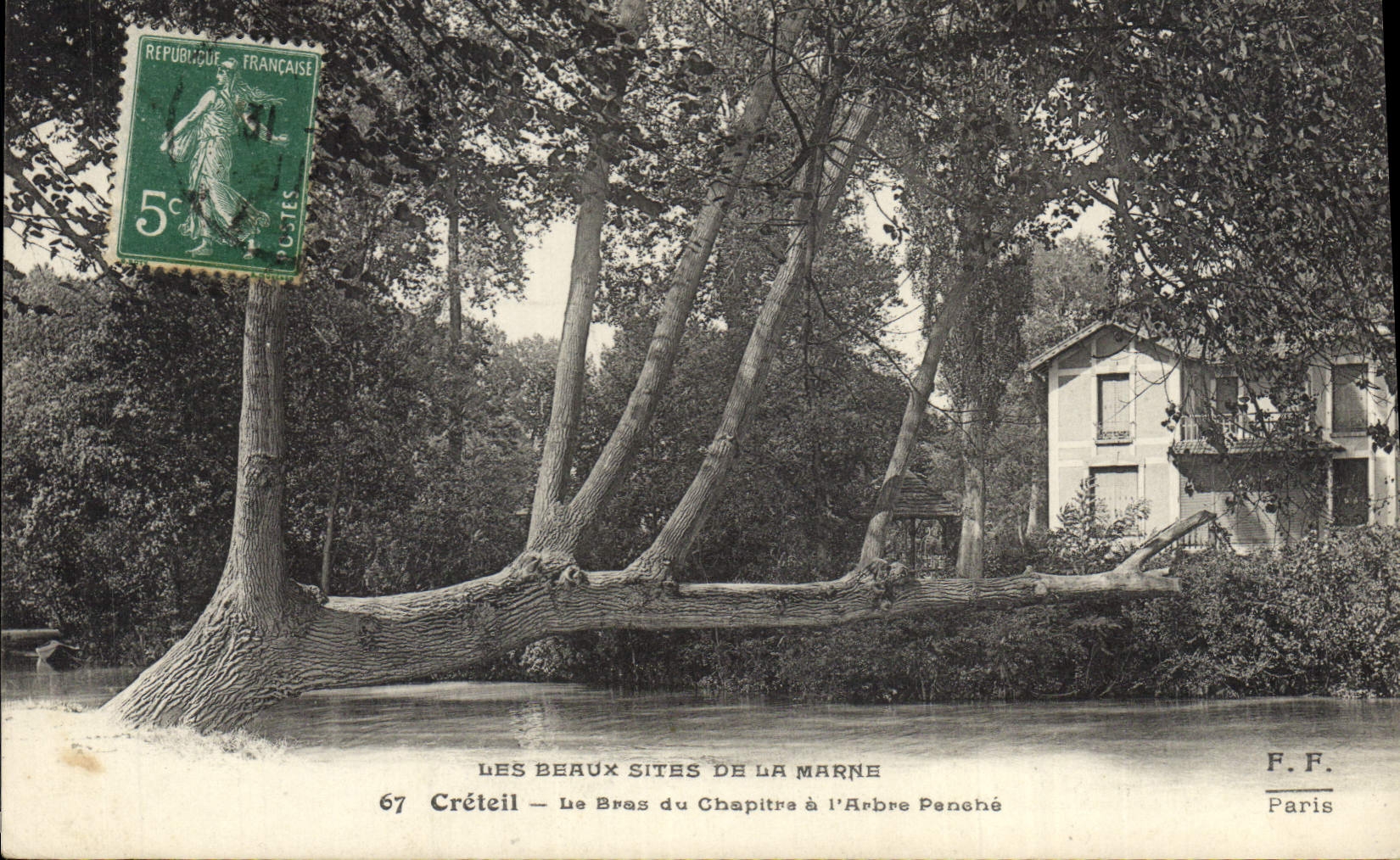 CPA Arbre Creteil Le bras du chapitre a l'arbre Penche
