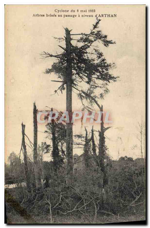 CPA Arbre Cyclone du 8 mai 1923 Arbres brises au passage a niveau d'Arthan 