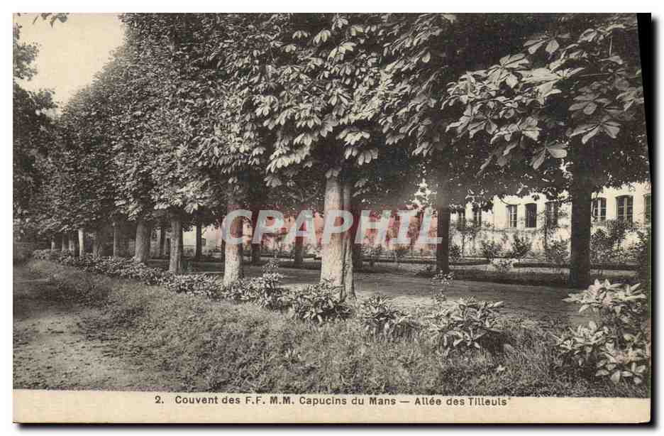 CPA Arbre Couvent des FF MM Capucins du Mans Allee des Tilleuls