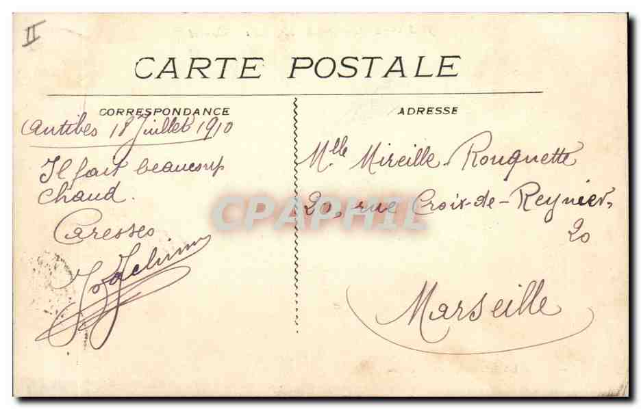 CPA Arbre Juan les pins Pin Parasol — Back