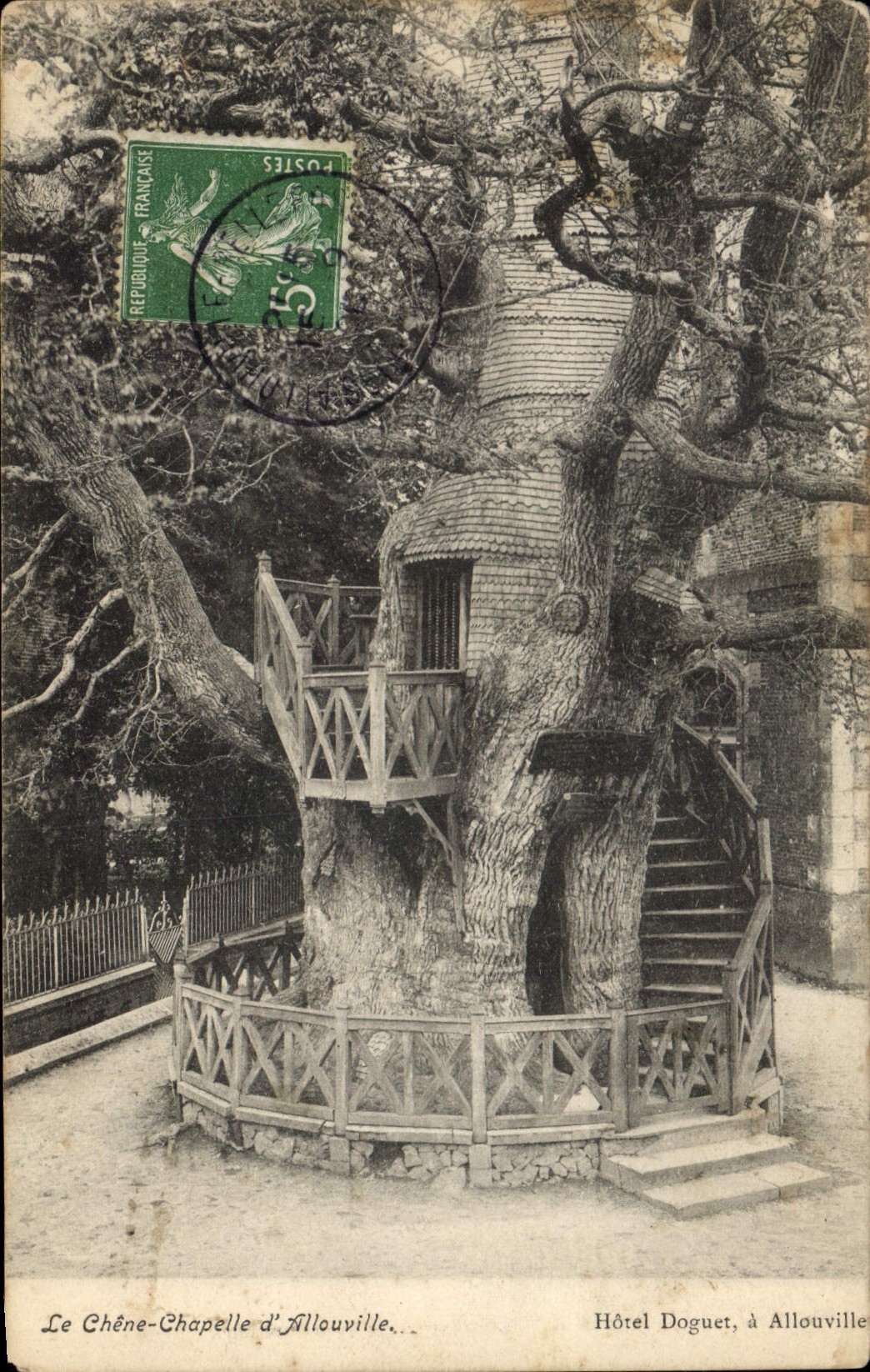 CPA Arbre Le chene Chapelle d'Allouville