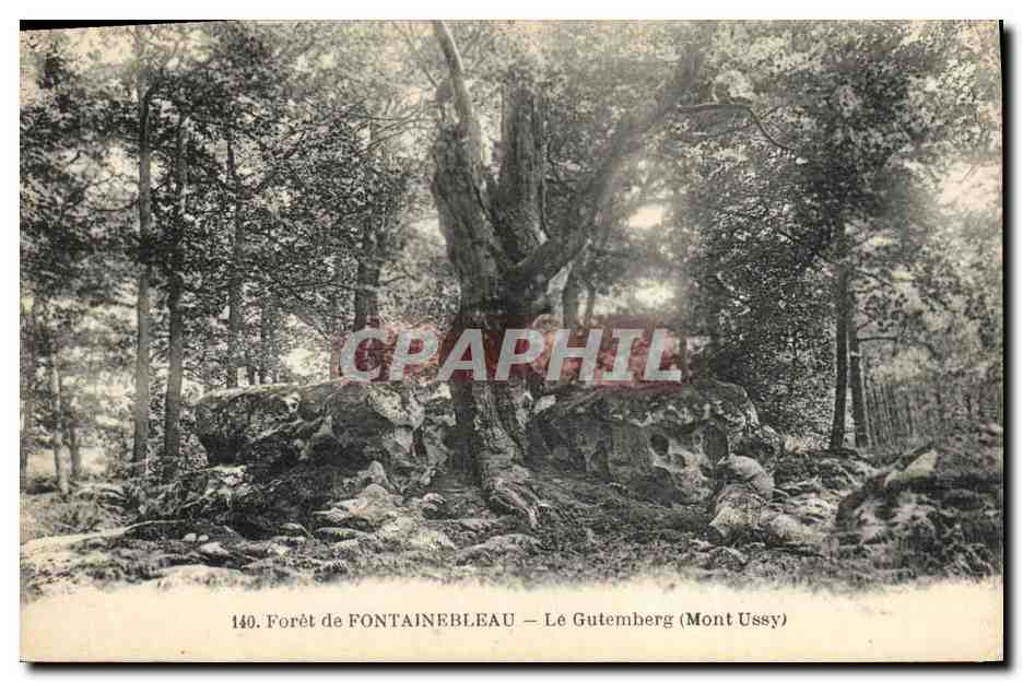 CPA Arbre Foret de Fontainebleau Le Gutemberg Mont Ussy
