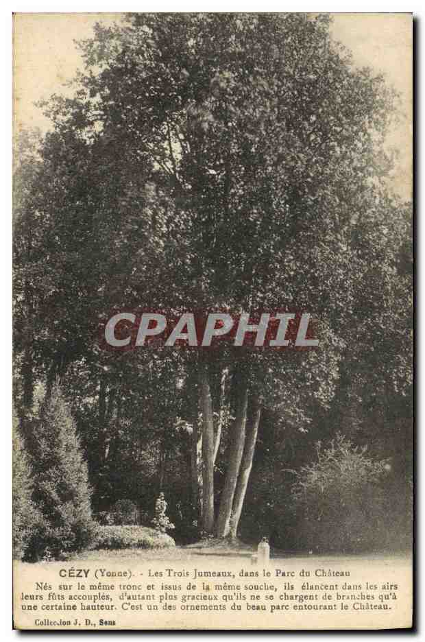 CPA Arbre Cezy Les trois jumeaux dans le parc du chateau