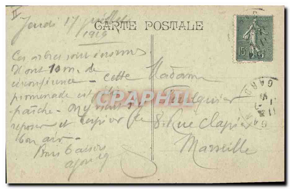 CPA Arbre Le Vigan Les veterans de la promenade des Chataigniers — Rückseite