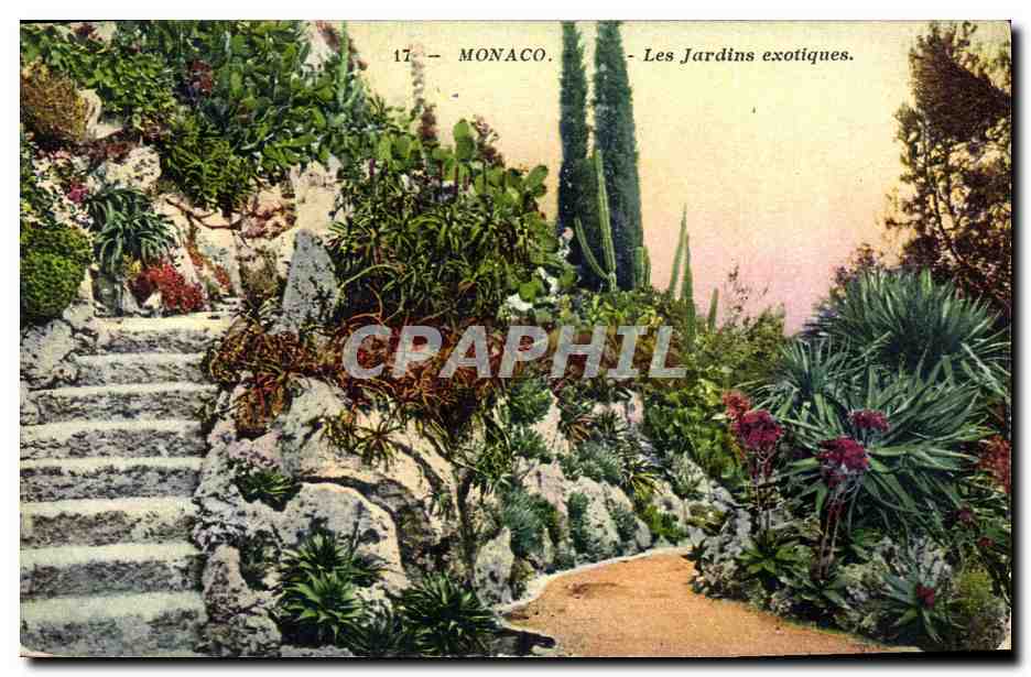 CPA Monaco Les jardins exotiques 
